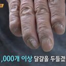 유나네 자연숲 농장 이미지