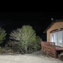 매화골향기 이미지