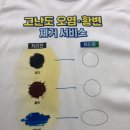 크린토피아전주효천지구