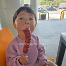 마리별 미리별 | 아이와 함께한 3박4일 경주여행 후기-1,2일차