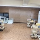 바비숑펫살롱 이미지