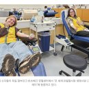 행복한영광교회, 생명나무교회 | [하나님의교회가 전하는 새해 ‘희망’ 연하장]