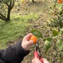 소서제주 7월3일 이미지