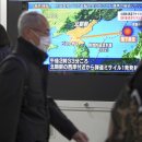 STELLA KOREA 이미지