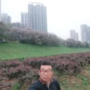 꽃동산당구장 Daum카페