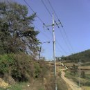 용바위민박 이미지