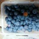 목골농장 이미지