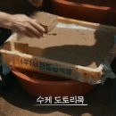기사문&강릉락강정 | 함양 정자나무민박, 담양 죽림원, 양양 송이버섯마을, 강릉 기사문&amp;강릉락강정, 평창 쌍둥이네가벼슬식당