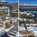 세라의 작은정원 이미지