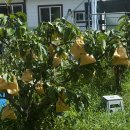 청정가든 이미지