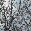 산들내
