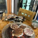 [정선/동해 2박3일 여행] 2일차ㅣ동해 조개구이 &#39;다이버구이&#39; 후기, 동해 횟집 &#39;경상도횟집&#39; 포장 후기