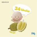 렌즈미안양1번가점 | (33주 - 35주5일) 컨디션 좋은 후기임산부의 5월 - ✌🏻