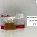 S0866 네이버블로그