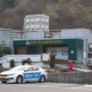 빠라빠라 이미지