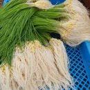 탑곡농장 이미지