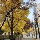 여의도봄약국 이미지