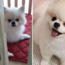 나온동물병원 이미지