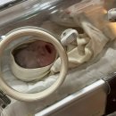 큰열매여성의원 이미지