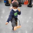 탐팀무에타이 이미지