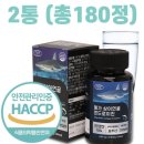 에버그린 이미지