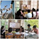 (주)시냇가에심은나무 이미지