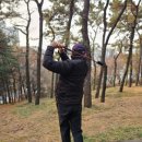 SS골프 | 골프스윙연습기 스윙스피드 UP 보이스캐디 스윙스틱 SS10