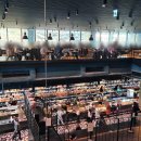 블루테라 이미지