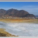 조양강 민박 이미지