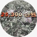 용강빌라 이미지