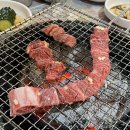 해물몽땅칼국수