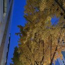 서울듀크의원 이미지