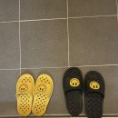 세븐일레븐 부산용호로점 | 통영 애견펜션 :: 개별 바베큐장과 미온수 수영장이 있는 “글램독”