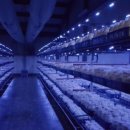 이지농장 이미지