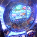 더마르한 이미지