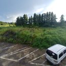 한라산게스트하우스 이미지