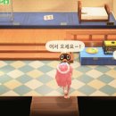 너굴상점