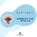 미사동물병원 이미지