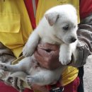 진보면사무소 이미지