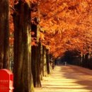 담양군금성면덕성보건진료소 이미지