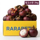 설렘제주 | 제주항공 설렘배송 망고스틴 후기