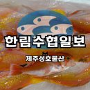 연승물산