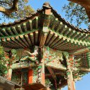 여수연안여객선터미널 이미지