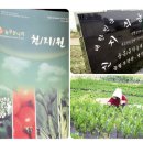 천지원 농장 Daum카페