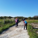 선달목장 이미지