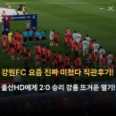 흑산종합운동장 축구장 | K리그 강원FC 요즘 진짜 미쳤다 직관후기! 울산HD에게 2:0 승리 강릉종합운동장 뜨거운 열기!