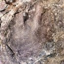 함안외암리공룡발자국 화석 이미지