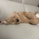 퇴계공단길 이미지