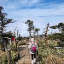 한라산 게스트하우스 후기, 등산용품 픽업 무료셔틀, 그린 게스트 하우스, 무료 김밥 생수 컵라면...