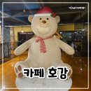 카페호감 | 울산 대형카페 주차하기 편한 베이커리카페 <호감> 내돈내산 후기